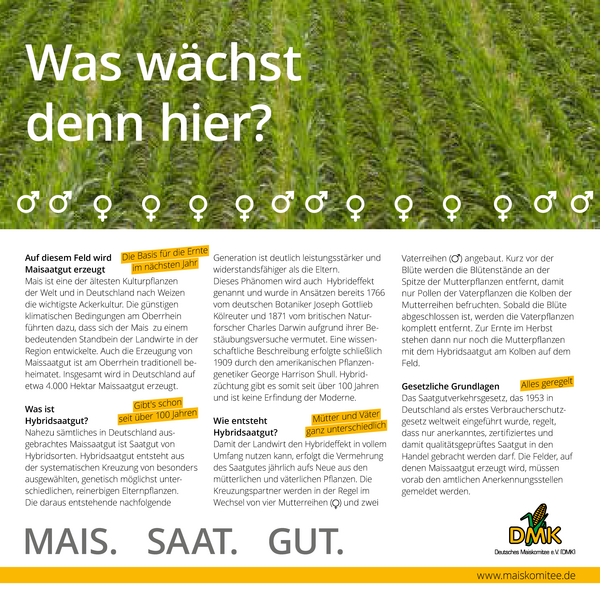 Feldrandschild 2021 | Saatguterzeugung